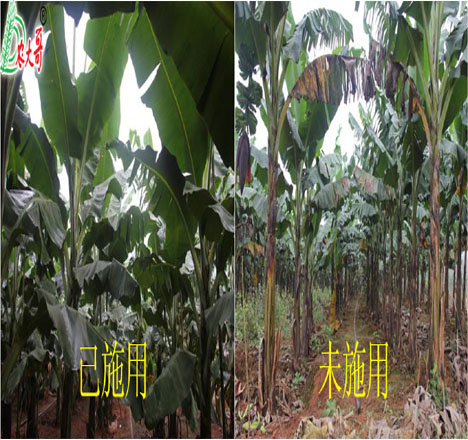 抗凍試驗(yàn)對(duì)比2
