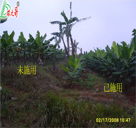 抗凍試驗(yàn)對(duì)比