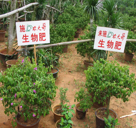 鮮花試驗(yàn)效果